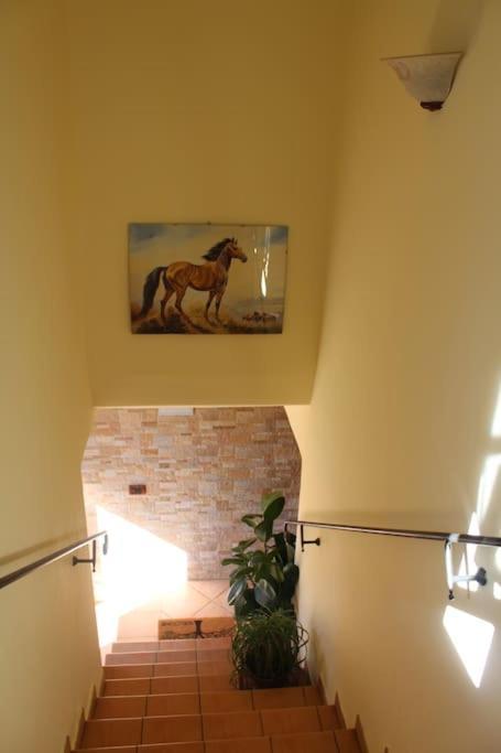 Affittacamere La Torre Tegoleto Zewnętrze zdjęcie